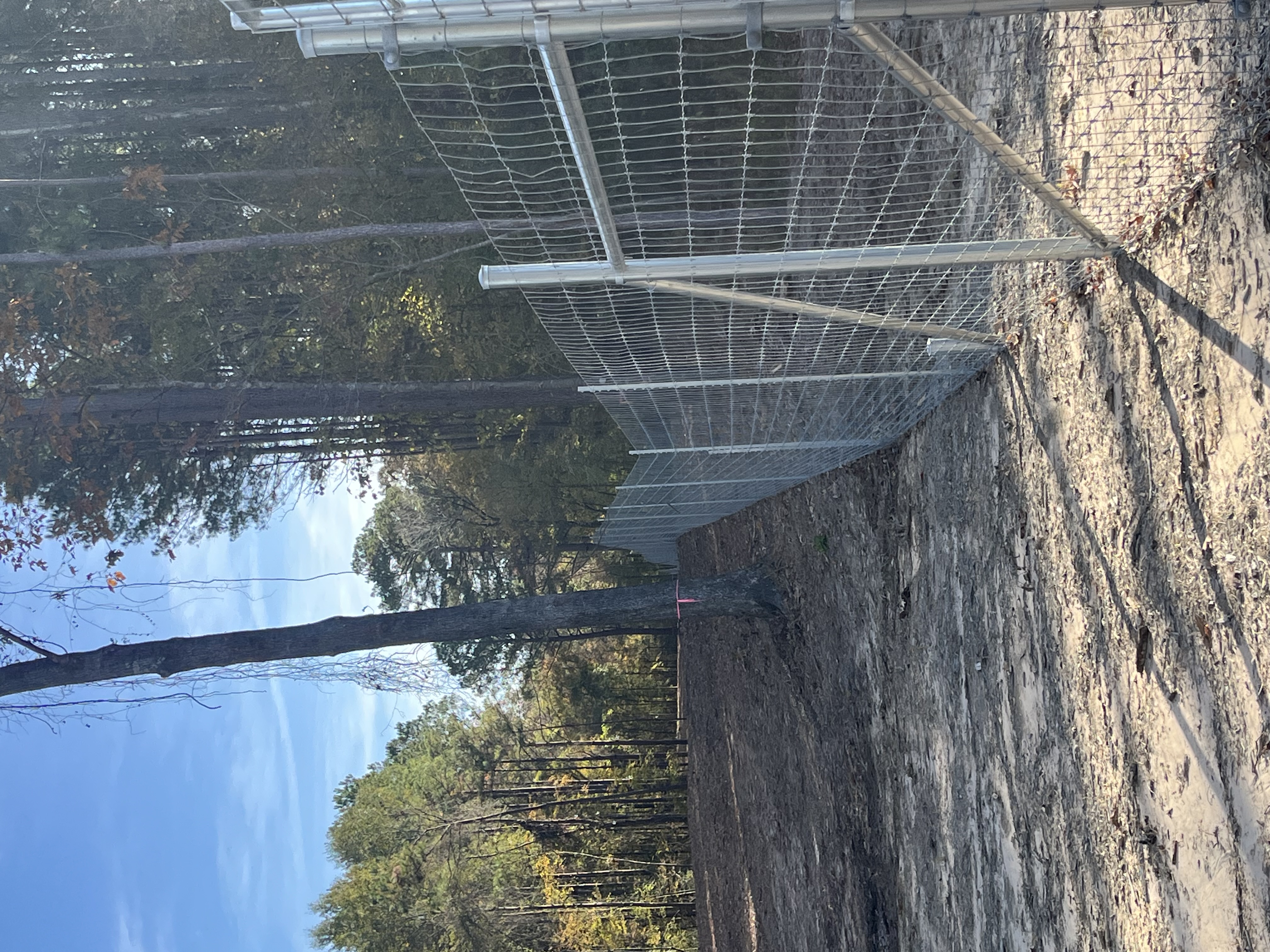 Installed J4 Fencing high-game fence line running through wooded Texas ranch terrain